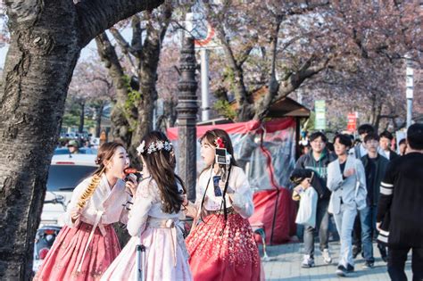 모리사와 치아키, 일본 문화와 한국 문화의 교차점에서