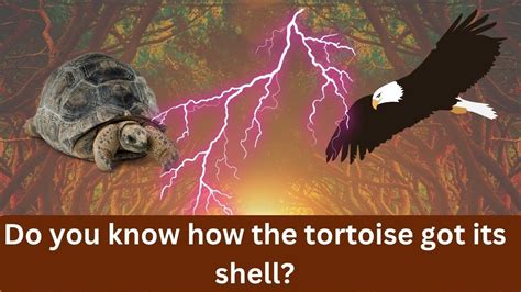 The Tortoise Who Was Greedy For Cowries! A Deep Dive into a 16th-Century Nigerian Folktale About Ambition and its Consequences